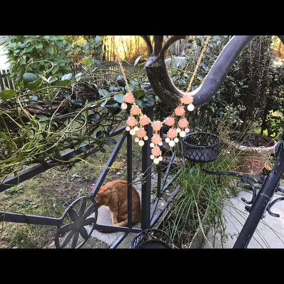 Beautiful Peach & Gold Necklace - Picture 7 of 8